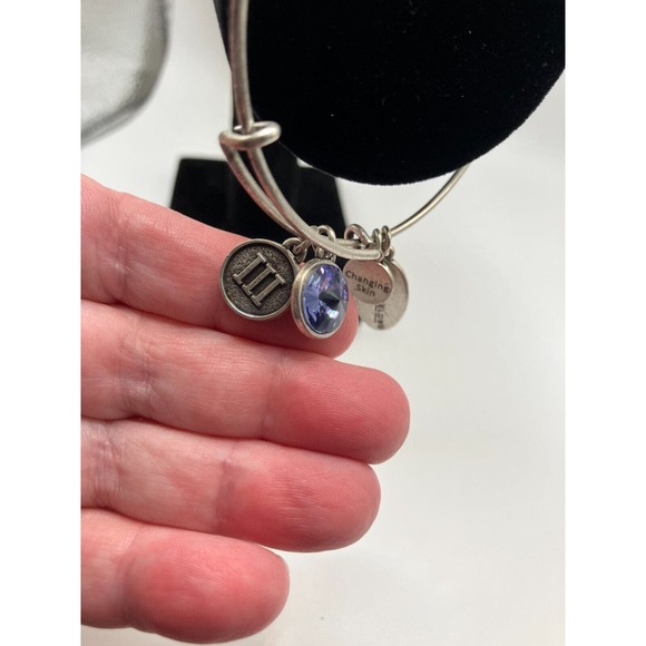 Rodan + Fields Charm Silver-Tone Bangle Bracelet! - Picture 11 of 15